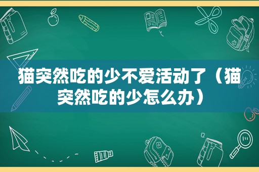 猫突然吃的少不爱活动了（猫突然吃的少怎么办）