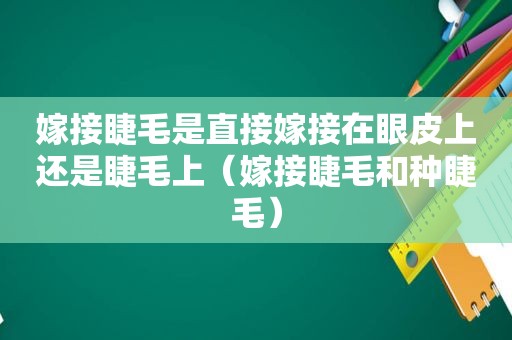 嫁接睫毛是直接嫁接在眼皮上还是睫毛上（嫁接睫毛和种睫毛）