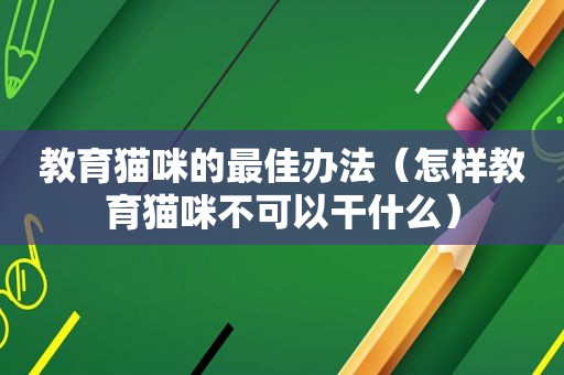 教育猫咪的最佳办法（怎样教育猫咪不可以干什么）