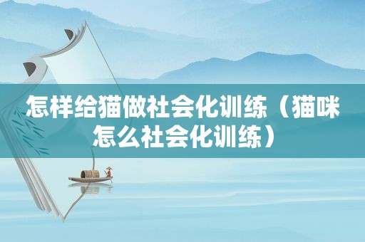 怎样给猫做社会化训练（猫咪怎么社会化训练）