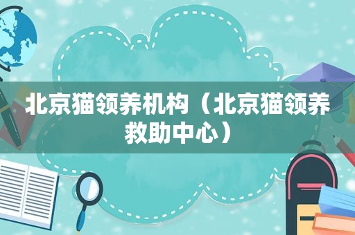 北京猫领养机构（北京猫领养救助中心）