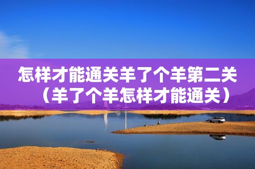 怎样才能通关羊了个羊第二关（羊了个羊怎样才能通关）