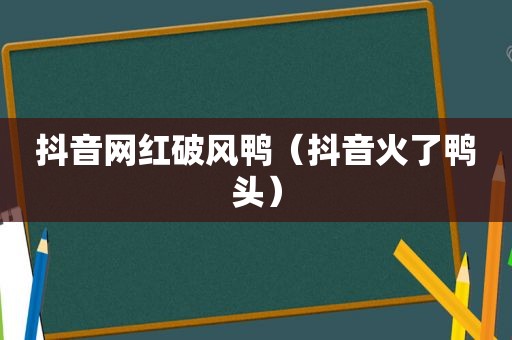 抖音网红破风鸭（抖音火了鸭头）