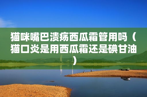 猫咪嘴巴溃疡西瓜霜管用吗（猫口炎是用西瓜霜还是碘甘油）