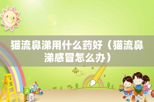 猫流鼻涕用什么药好（猫流鼻涕感冒怎么办）