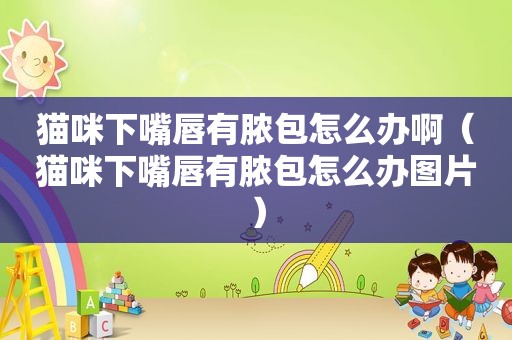 猫咪下嘴唇有脓包怎么办啊（猫咪下嘴唇有脓包怎么办图片）