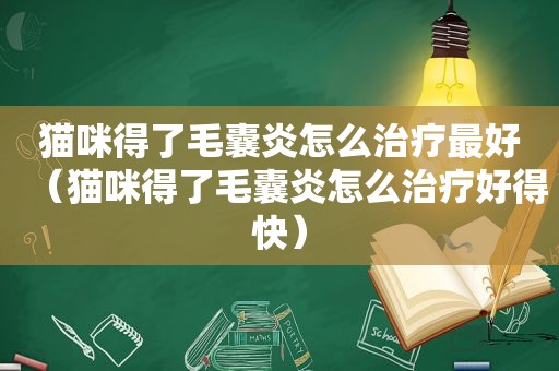 猫咪得了毛囊炎怎么治疗最好（猫咪得了毛囊炎怎么治疗好得快）