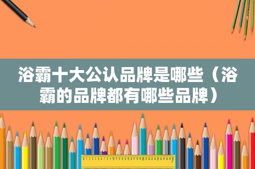 浴霸十大公认品牌是哪些（浴霸的品牌都有哪些品牌）