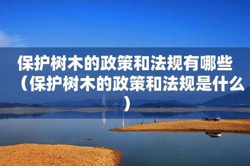 保护树木的政策和法规有哪些（保护树木的政策和法规是什么）  第1张