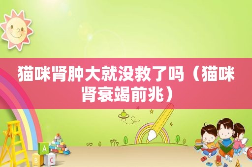猫咪肾肿大就没救了吗（猫咪肾衰竭前兆）