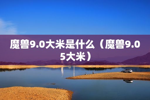 魔兽9.0大米是什么（魔兽9.05大米）