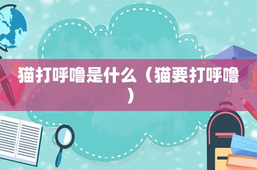 猫打呼噜是什么（猫要打呼噜）