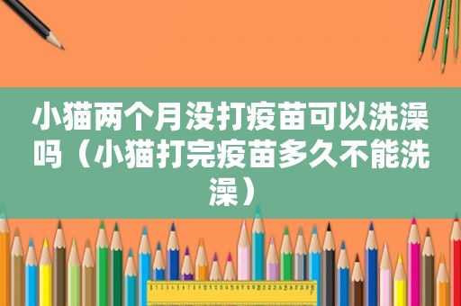 小猫两个月没打疫苗可以洗澡吗（小猫打完疫苗多久不能洗澡）