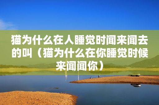 猫为什么在人睡觉时闻来闻去的叫（猫为什么在你睡觉时候来闻闻你）