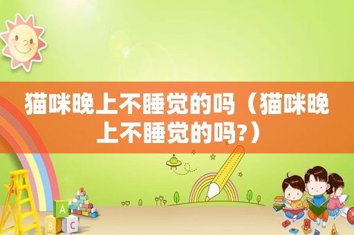猫咪晚上不睡觉的吗（猫咪晚上不睡觉的吗?）