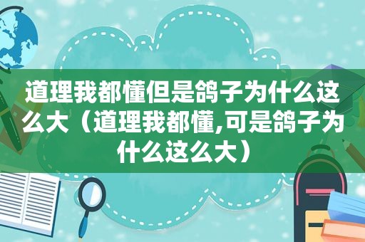 道理我都懂但是鸽子为什么这么大（道理我都懂,可是鸽子为什么这么大）