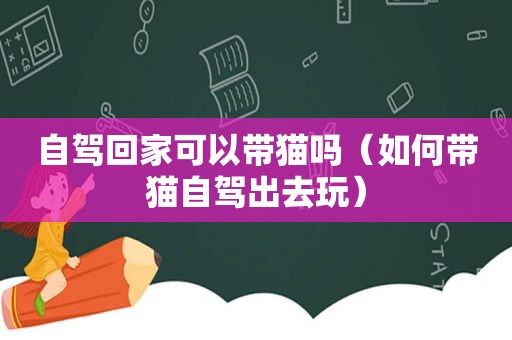 自驾回家可以带猫吗（如何带猫自驾出去玩）