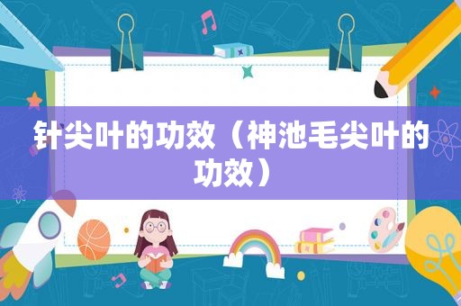 针尖叶的功效（神池毛尖叶的功效）