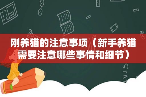 刚养猫的注意事项（新手养猫需要注意哪些事情和细节）