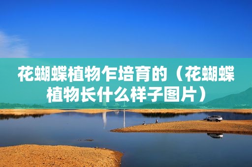 花蝴蝶植物乍培育的（花蝴蝶植物长什么样子图片）