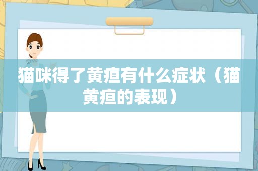 猫咪得了黄疸有什么症状（猫黄疸的表现）