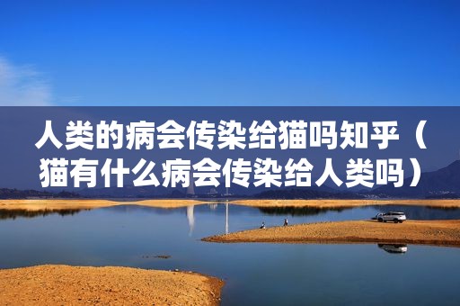 人类的病会传染给猫吗知乎（猫有什么病会传染给人类吗）