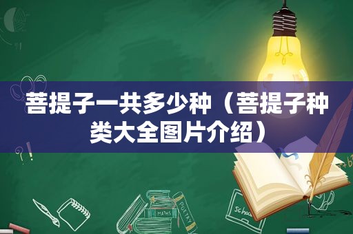 菩提子一共多少种（菩提子种类大全图片介绍）