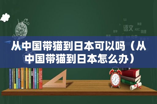 从中国带猫到日本可以吗（从中国带猫到日本怎么办）