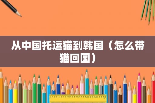 从中国托运猫到韩国（怎么带猫回国）