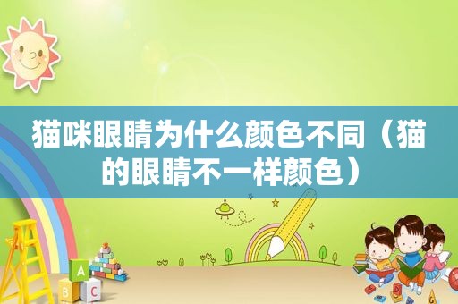 猫咪眼睛为什么颜色不同（猫的眼睛不一样颜色）