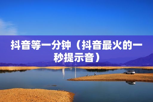 抖音等一分钟（抖音最火的一秒提示音）