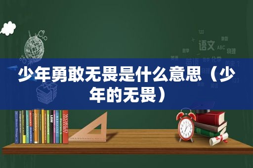 少年勇敢无畏是什么意思（少年的无畏）