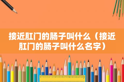 接近 *** 的肠子叫什么（接近 *** 的肠子叫什么名字）