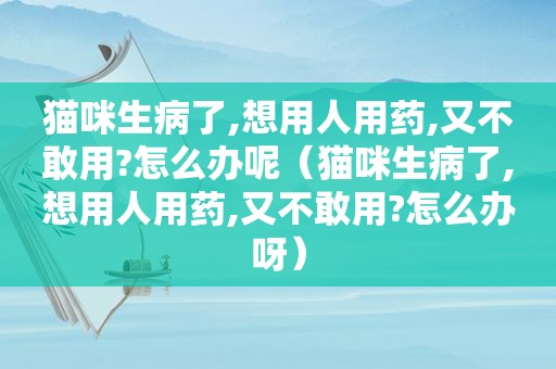 猫咪生病了,想用人用药,又不敢用?怎么办呢（猫咪生病了,想用人用药,又不敢用?怎么办呀）