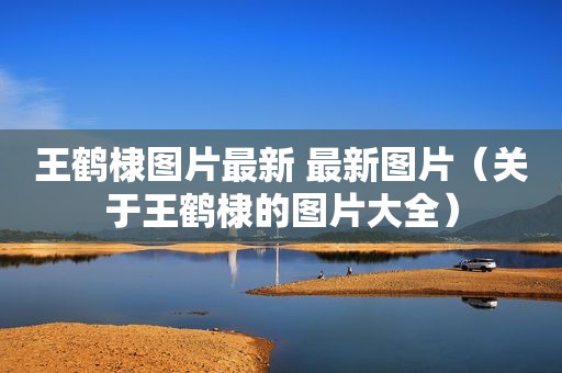 王鹤棣图片最新 最新图片（关于王鹤棣的图片大全）