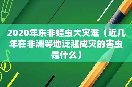 2020年东非蝗虫大灾难（近几年在非洲等地泛滥成灾的害虫是什么）