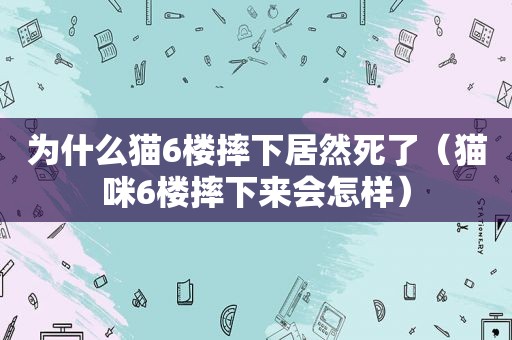 为什么猫6楼摔下居然死了（猫咪6楼摔下来会怎样）