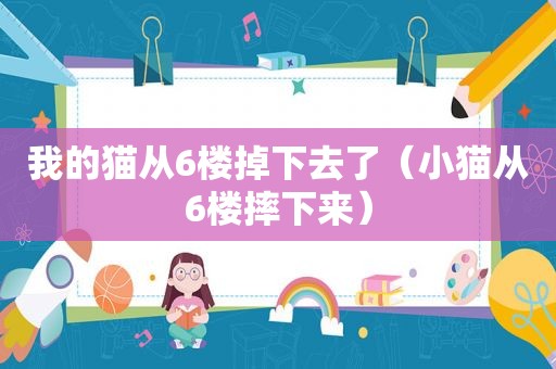 我的猫从6楼掉下去了（小猫从6楼摔下来）