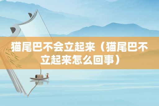 猫尾巴不会立起来（猫尾巴不立起来怎么回事）