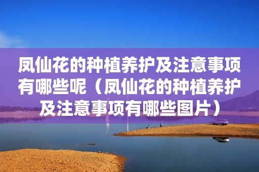 凤仙花的种植养护及注意事项有哪些呢（凤仙花的种植养护及注意事项有哪些图片）