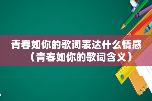 青春如你的歌词表达什么情感（青春如你的歌词含义）