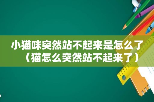 小猫咪突然站不起来是怎么了（猫怎么突然站不起来了）
