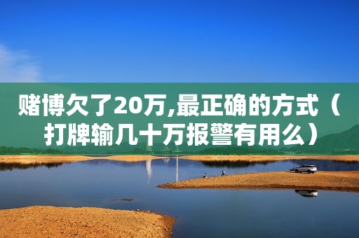  *** 欠了20万,最正确的方式（打牌输几十万报警有用么）