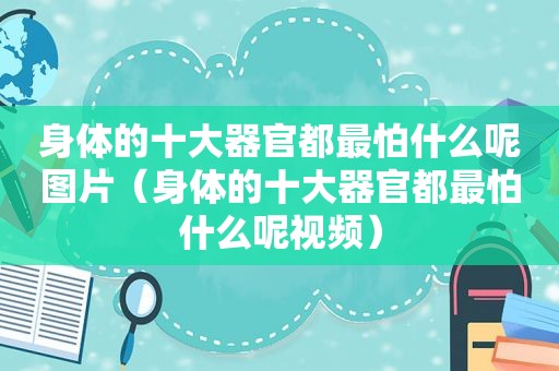 身体的十大器官都最怕什么呢图片（身体的十大器官都最怕什么呢视频）