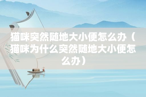 猫咪突然随地大小便怎么办（猫咪为什么突然随地大小便怎么办）