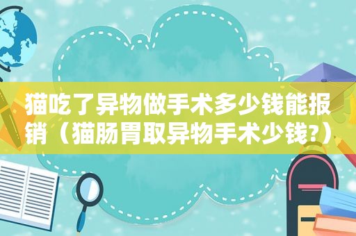 猫吃了异物做手术多少钱能报销（猫肠胃取异物手术少钱?）