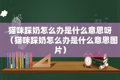 猫咪踩奶怎么办是什么意思呀（猫咪踩奶怎么办是什么意思图片）