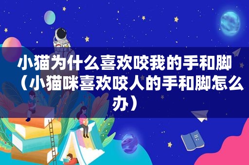 小猫为什么喜欢咬我的手和脚（小猫咪喜欢咬人的手和脚怎么办）