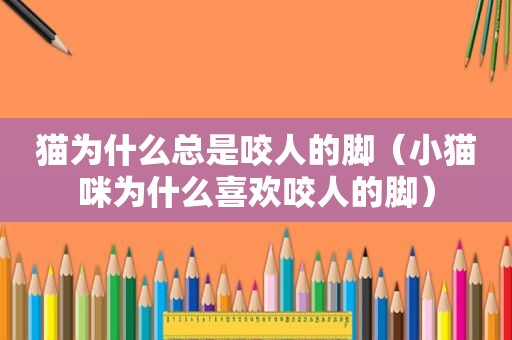 猫为什么总是咬人的脚（小猫咪为什么喜欢咬人的脚）
