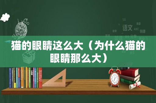 猫的眼睛这么大（为什么猫的眼睛那么大）